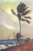Winslow Homer Palm Tree, Nassau oil painting picture wholesale